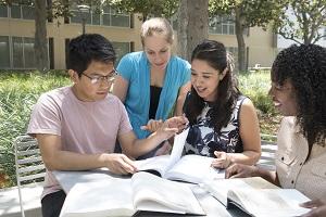 DIversity Students Studying